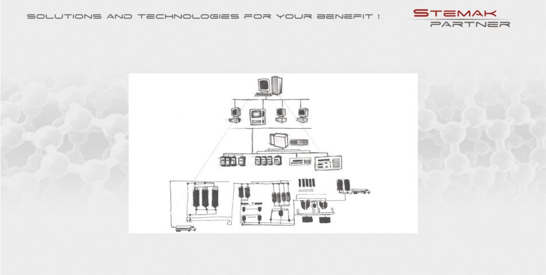 ERP & Automation